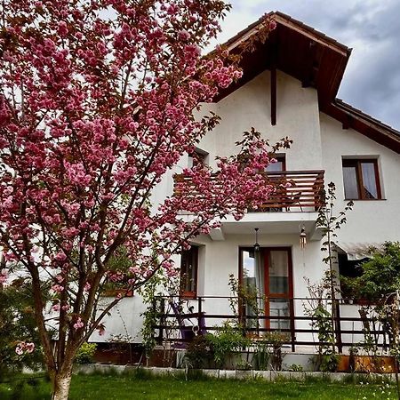 Ferienwohnung Cristina House Brașov Exterior foto