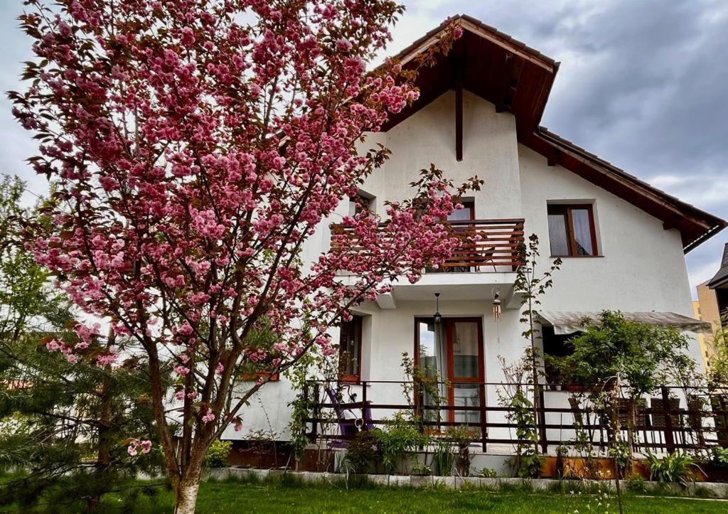 Ferienwohnung Cristina House Brașov Exterior foto